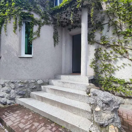 بيت شباب Brodsky's Cat Art