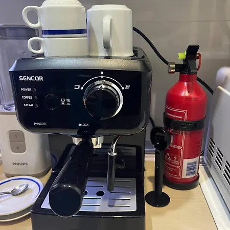 بيت شباب Brodsky's Cat Art نوفي ساد