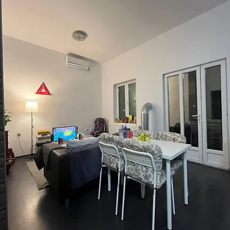 Brodsky's Cat Art * نوفي ساد