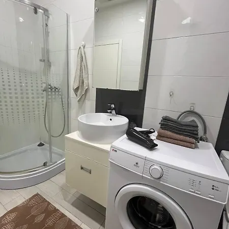 بيت شباب Brodsky's Cat Art *