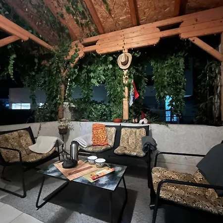 Brodsky's Cat Art بيت شباب