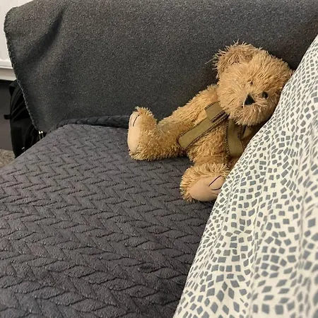 بيت شباب Brodsky's Cat Art