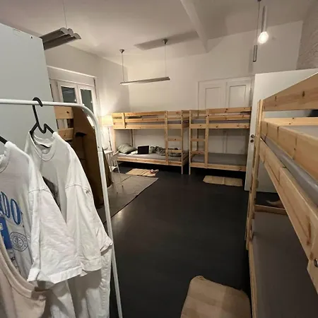 Brodsky's Cat Art نوفي ساد