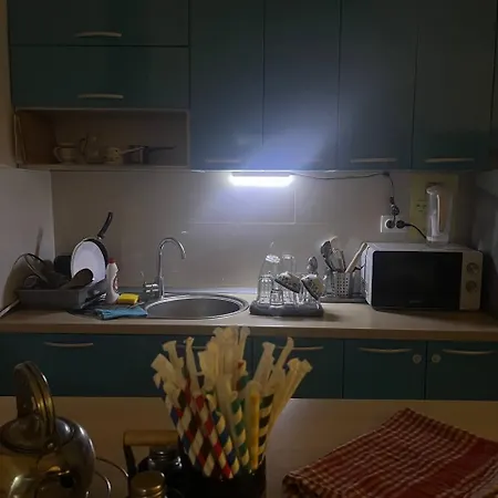 Brodsky's Cat Art نوفي ساد