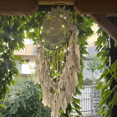 Brodsky's Cat Art بيت شباب *