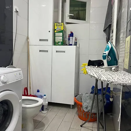 Brodsky's Cat Art بيت شباب نوفي ساد