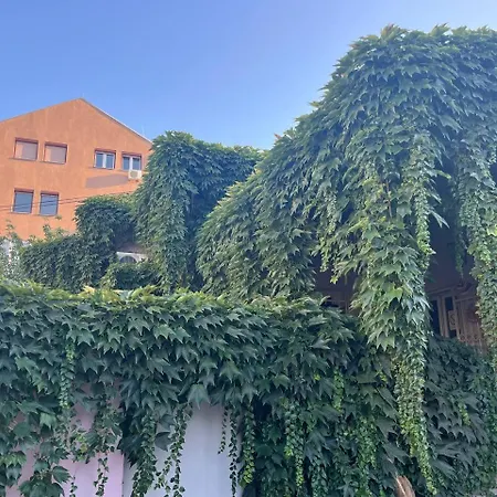 بيت شباب Brodsky's Cat Art *